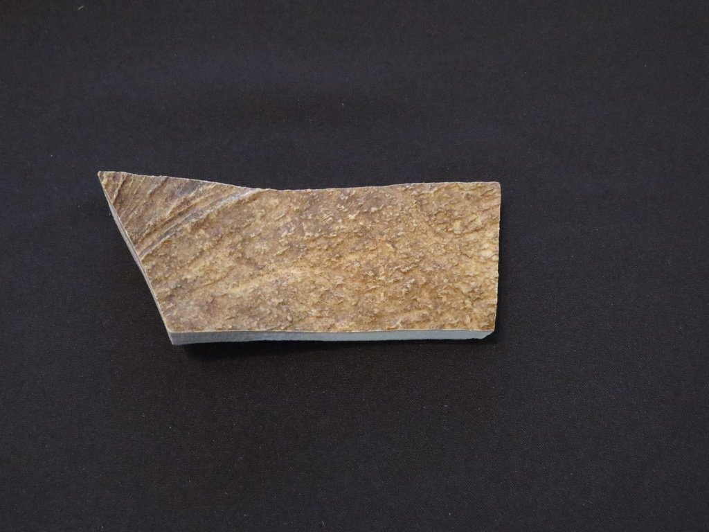 Medium Moose Antler