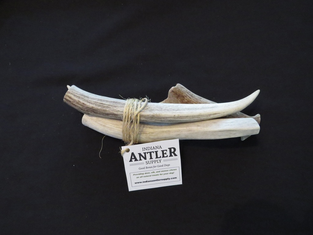 Large Antler 3-Pack