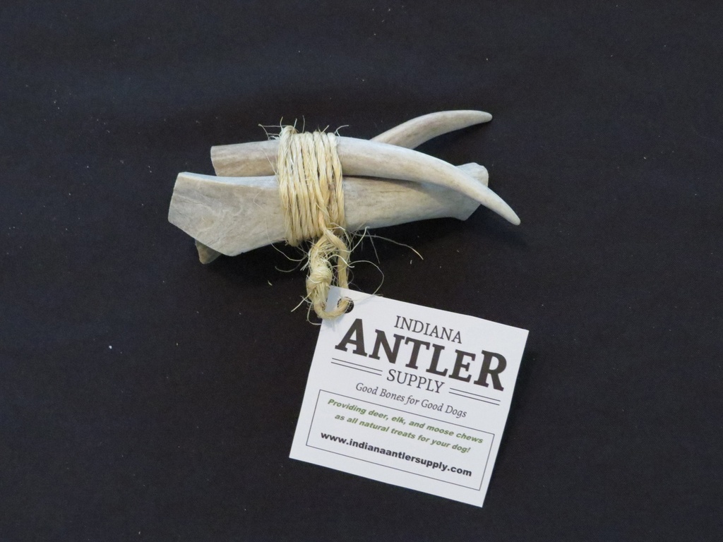 Small Antler 3-Pack